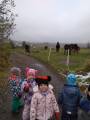 img_20191114_104040.jpg