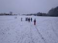 img_20200121_104202.jpg