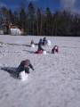 img_20200205_105441.jpg