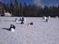 img_20200205_105445.jpg