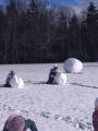 img_20200205_105530.jpg