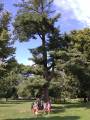 img_20200715_100042.jpg
