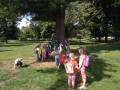 img_20200715_100053.jpg