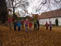 img_20201103_095827_burst4.jpg