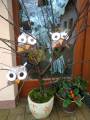 img_20201104_130713.jpg