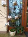 img_20201104_130733.jpg