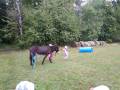 img_20201012_102710.jpg