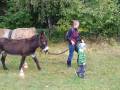 img_20201012_102715.jpg