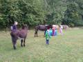 img_20201012_102725.jpg