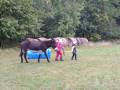 img_20201012_103225.jpg