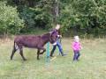 img_20201012_103235.jpg