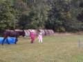 img_20201012_103753.jpg