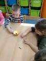 img_20210224_091350.jpg