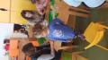 img_20220412_144917.jpg