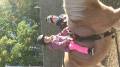img_20231016_091334.jpg