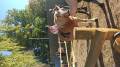 img_20231016_092651.jpg