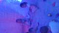 img_20240223_090416.jpg