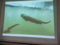 img_20250219_092150.jpg