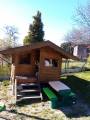 img_20200408_102651.jpg